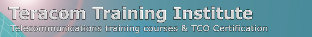 Teracom Training Institute Logo